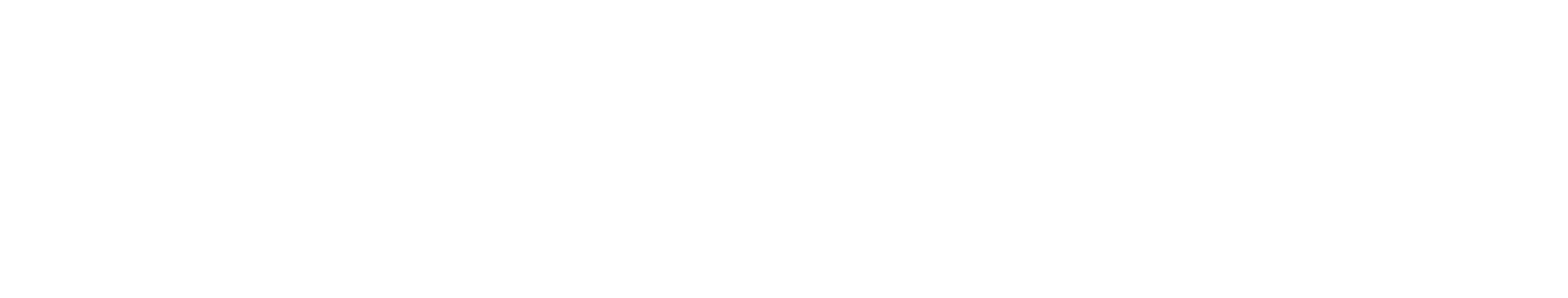 DolciSogni logo white